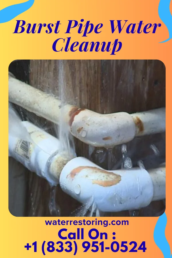 Burst Pipe Water Cleanup in Cressona, PA