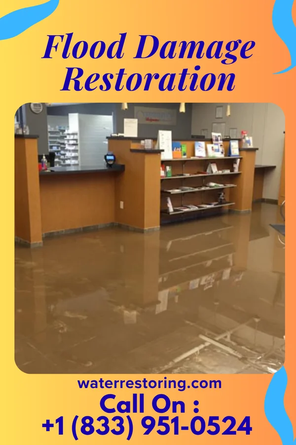 Flood Damage Restoration in Cressona, PA