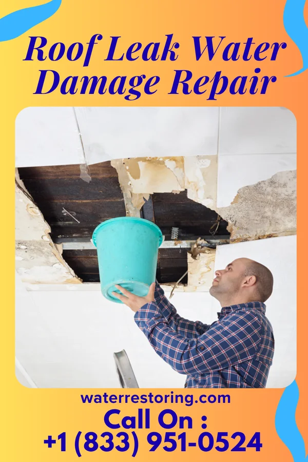 Roof Leak Water Damage Repair in Cressona, PA