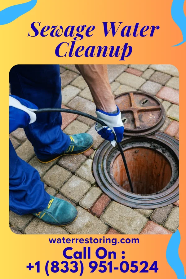 Sewage Water Cleanup in Cressona, PA