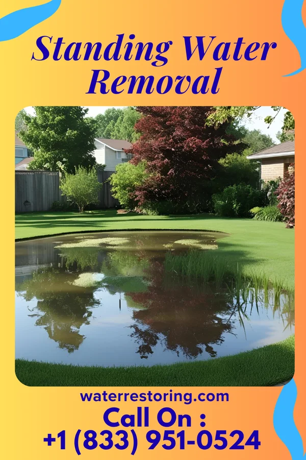 Standing Water Removal in Cressona, PA